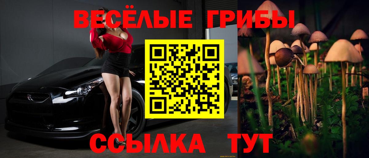 закладка  Псилоцибиновые грибы ЛСД  Вход с VPN  Чебаркуль  Галлюциногенные грибы прущие грибы 